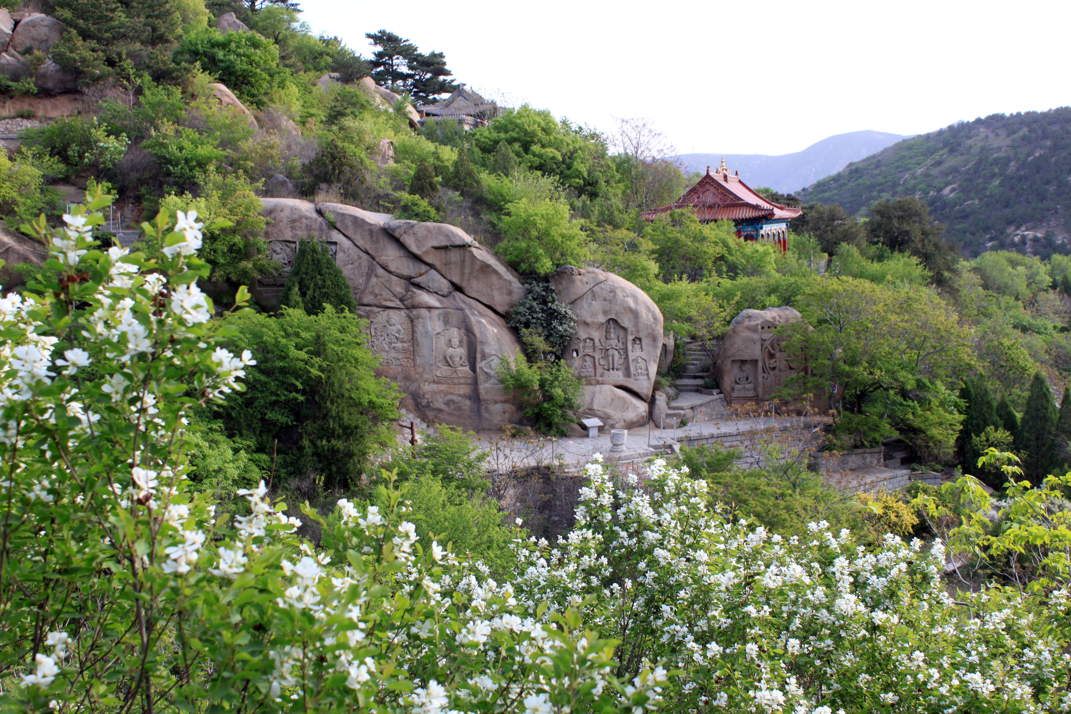 春风又绿海棠山