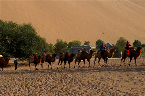 骑骆驼上鸣沙山的游客.JPG