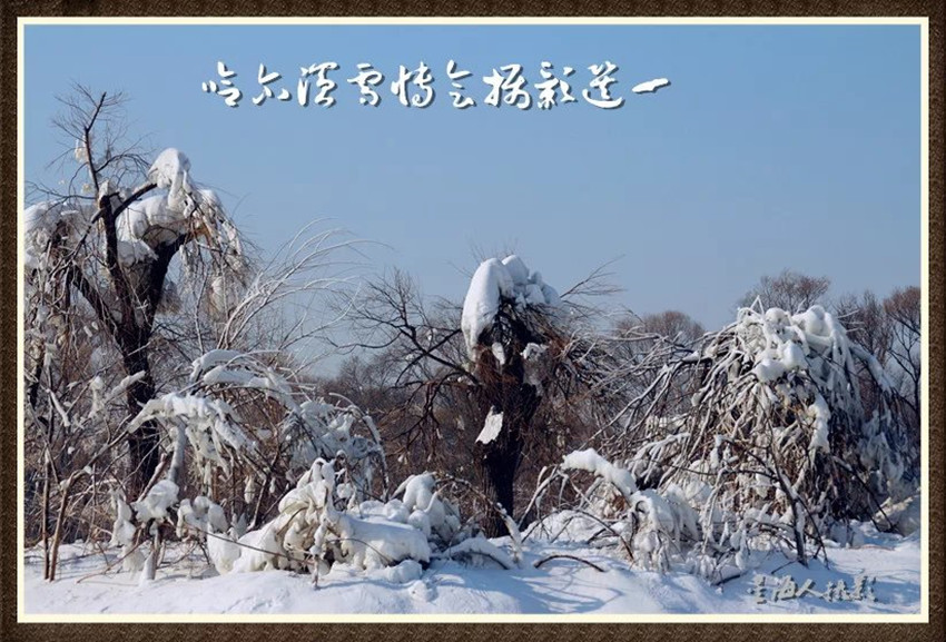 w5_副本.jpg