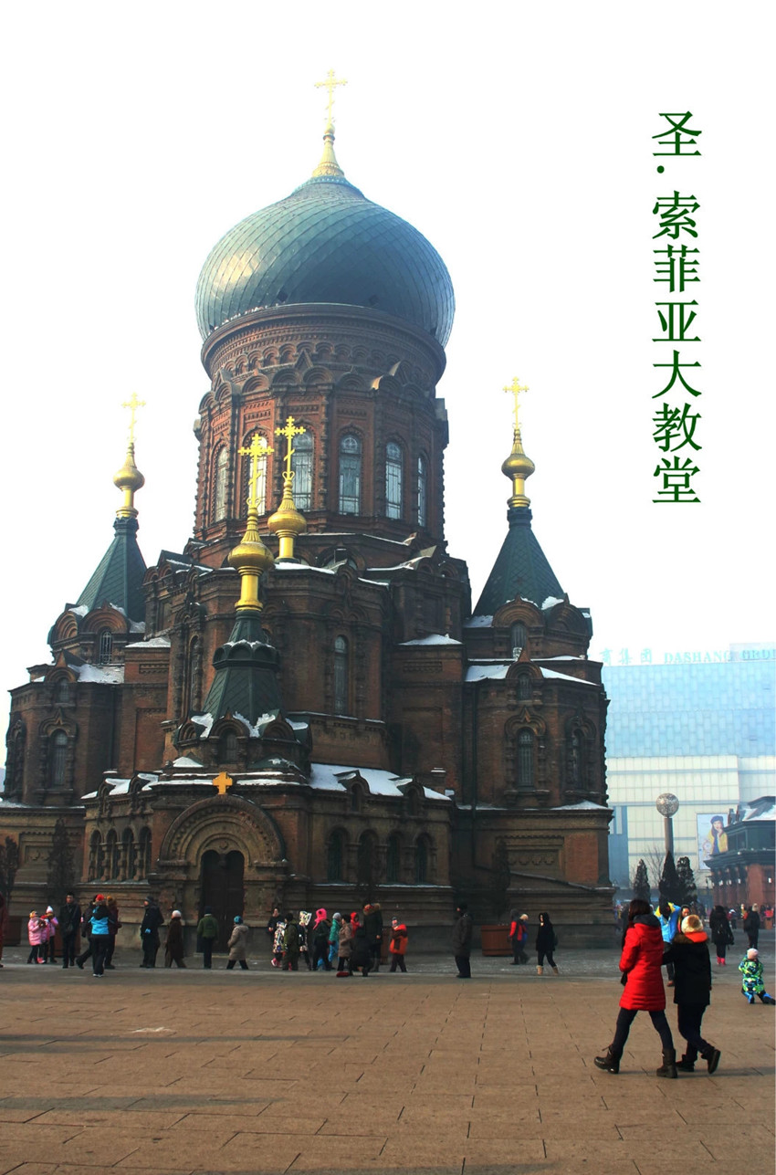 w21_副本.jpg