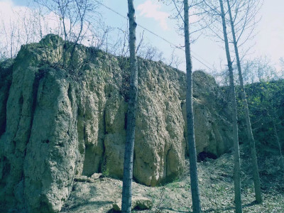 1537514529139719_meitu_1.jpg