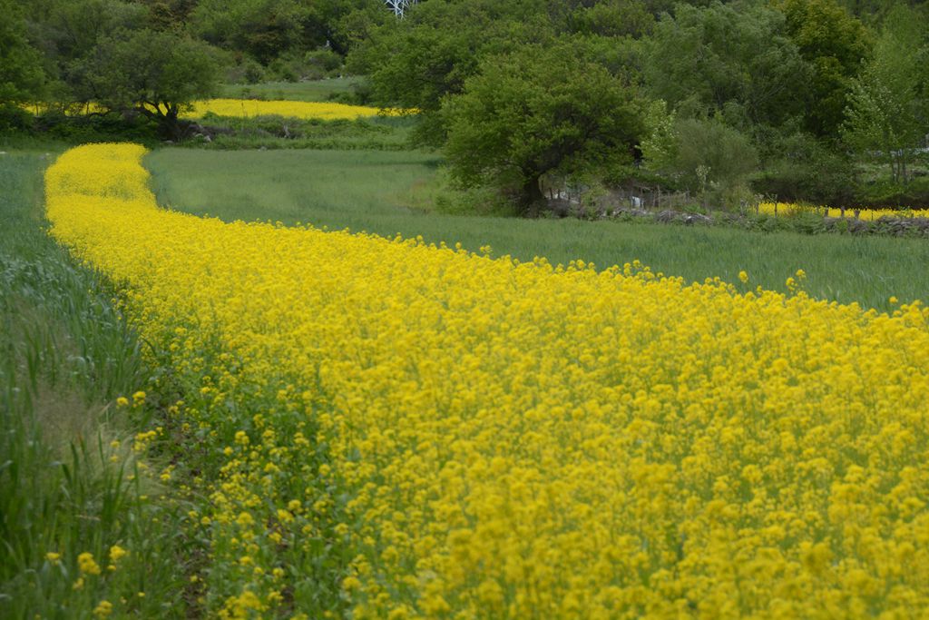 DSC_7382_副本.jpg
