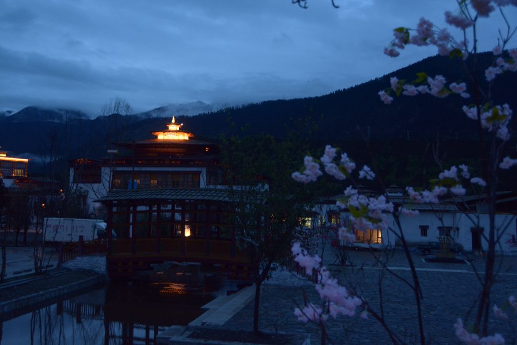 DSC_7037_副本.jpg