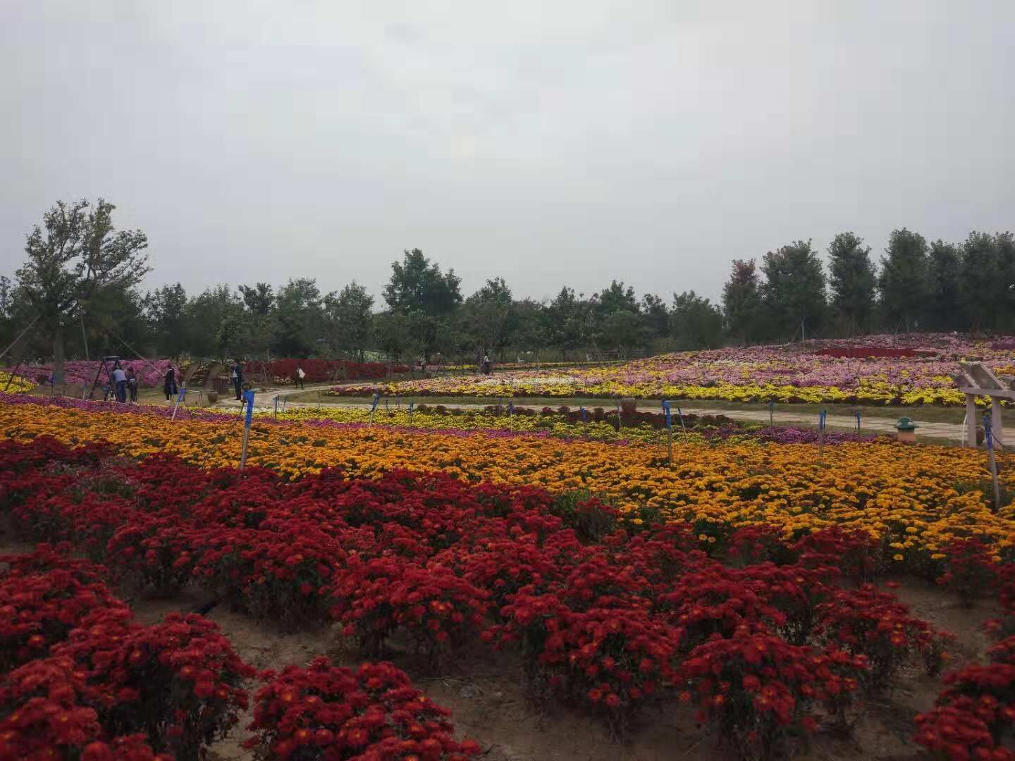 QQ图片20181023150653.jpg