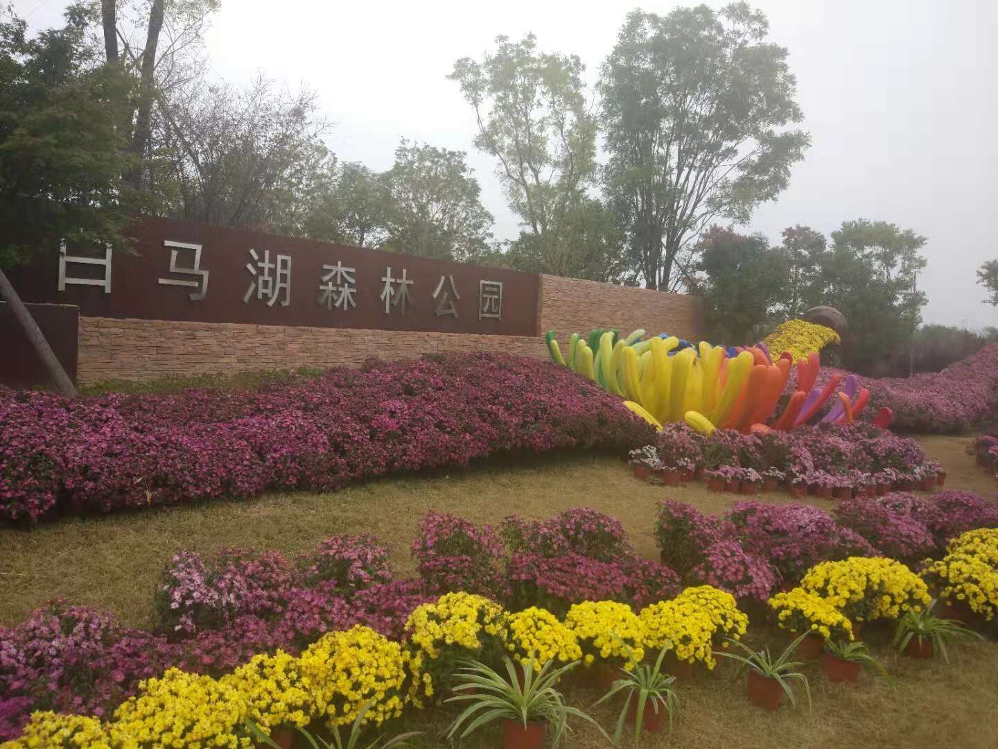 QQ图片20181023151239.jpg