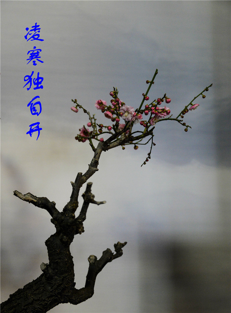 DSC_1151-1_副本-2.jpg