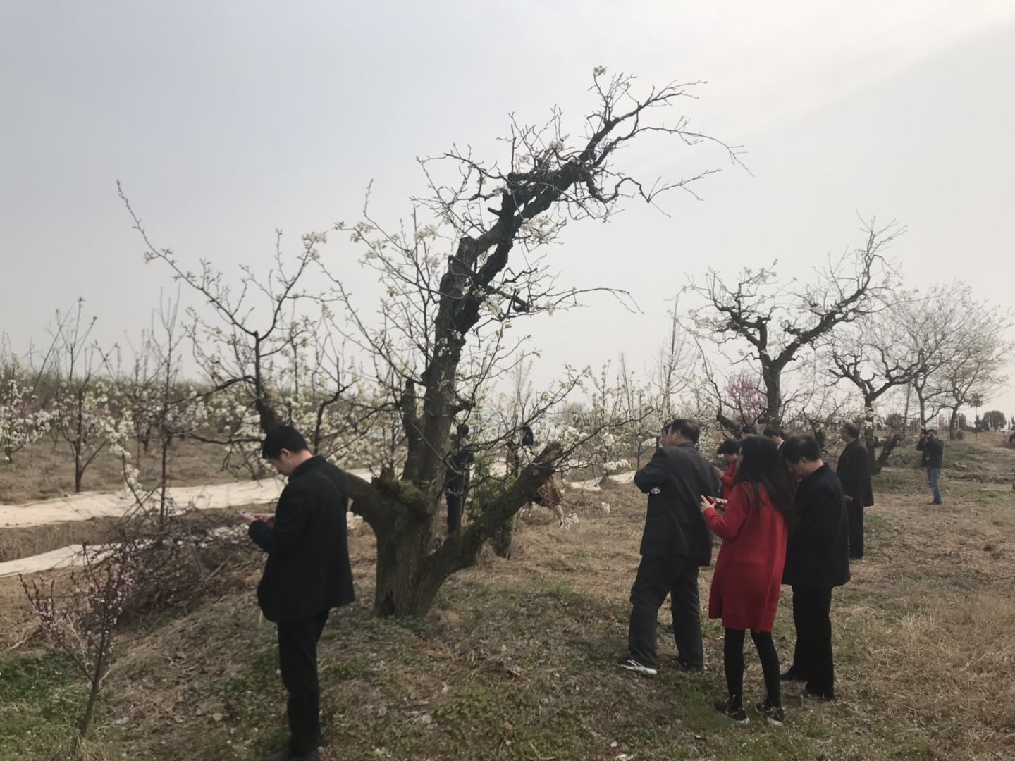 微信图片_20190331204612.jpg