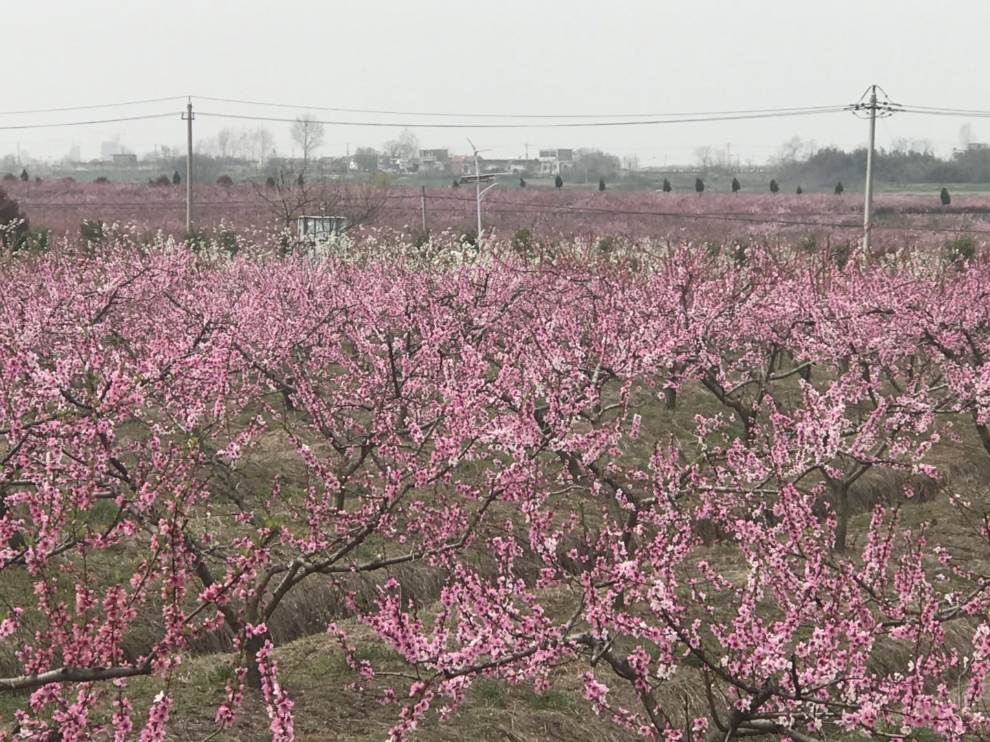 微信图片_20190331204602.jpg