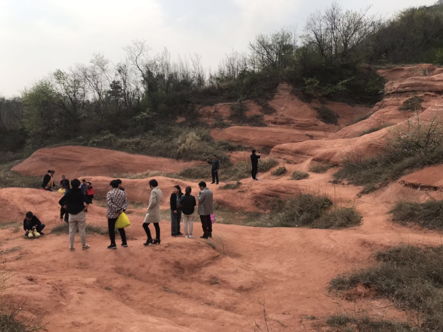 微信图片_20190331204626.jpg