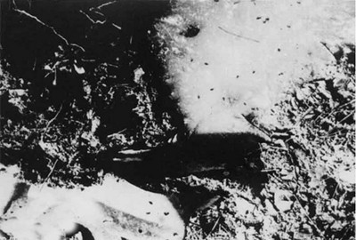 2-美军投掷细菌弹弹体里的苍蝇等散落在弹皮上和雪地上.jpg