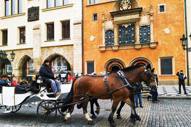 马车穿过布拉格老城广场.jpg