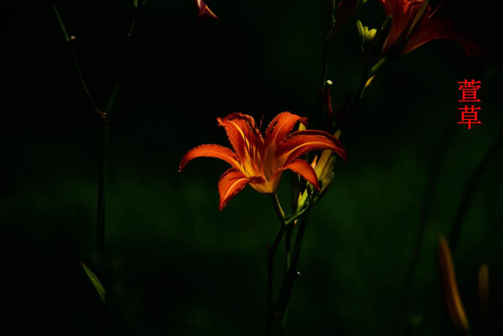 DSC_3828_副本_副本.jpg