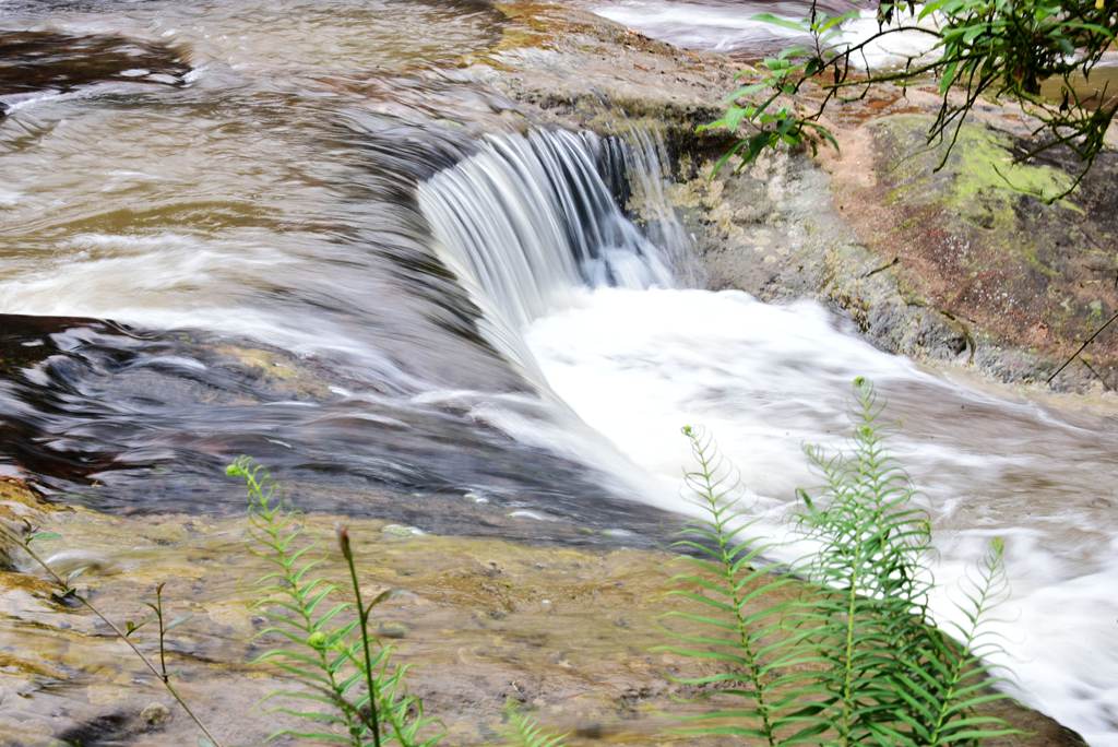 DSC_1412_副本_副本.jpg