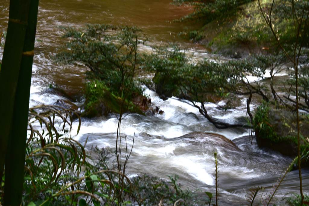 DSC_1423_副本_副本.jpg