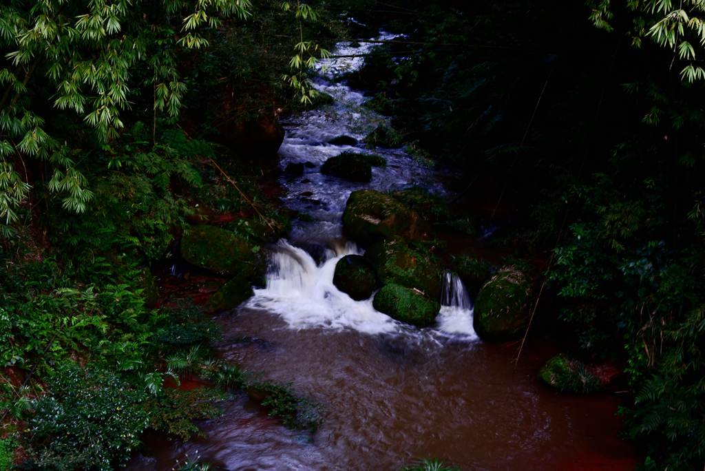 DSC_1429_副本_副本.jpg