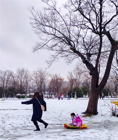 《玩雪》拍摄于张公山公园2022.2.7，妈妈带孩子玩滑雪。.jpg