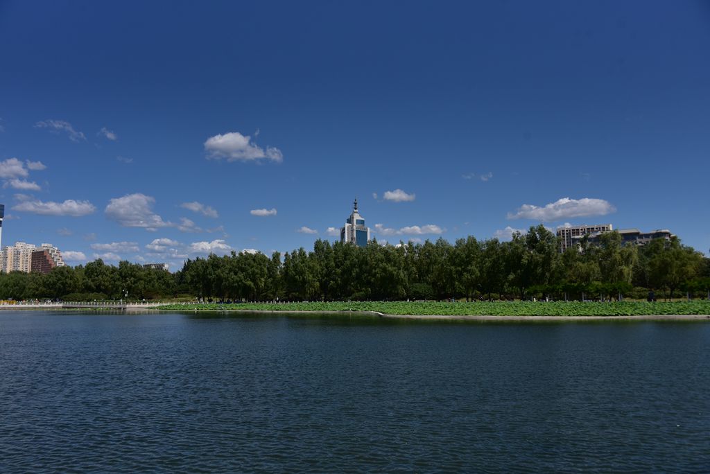 DSC_5610_副本.jpg