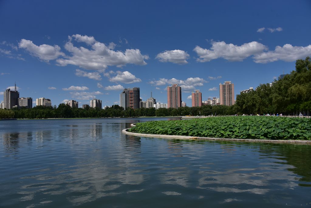 DSC_5613_副本.jpg
