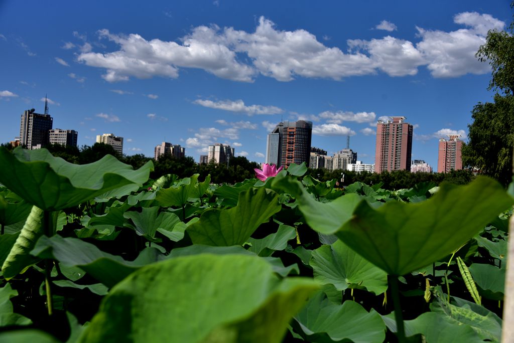 DSC_5627_副本.jpg