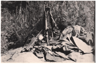 志愿军89师在剑山岭追歼战斗中缴获的美军第3师第7团2营的卡宾枪、冲锋枪、 对讲机等武器装备.png