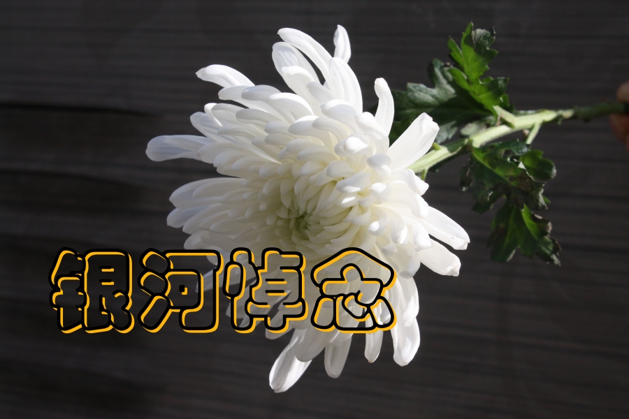 51miz-P246039-HMYTP3RW-3840x2560_副本.jpg